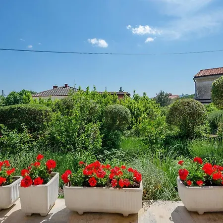 Apartman Lavanda-kate Krk Town