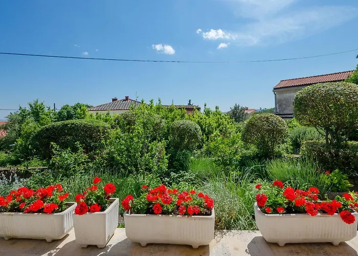 Apartman Lavanda-kate Krk Town